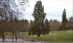 Thumb photo 205857