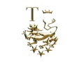 Tomlinscote School