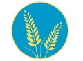 Wheatfield Primary School