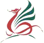 Ysgol Gynradd Gymraeg Tonyrefail