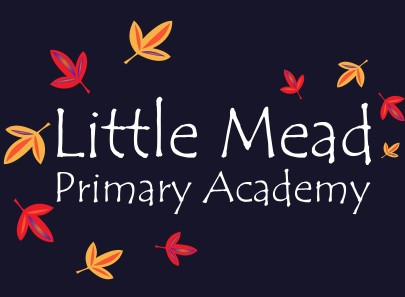 Little Mead Primary School