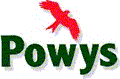 PENYGLODDFA C P SCHOOL