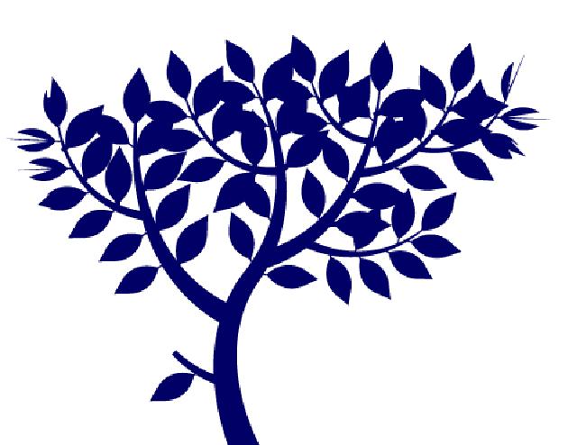The Park School
