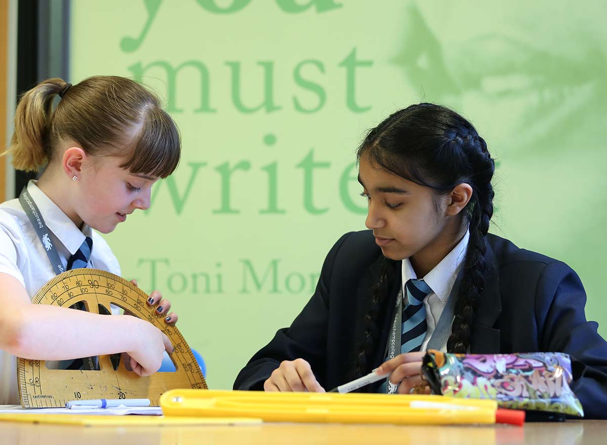 Lionheart Academies Trust Careers Site Eteach (40719)