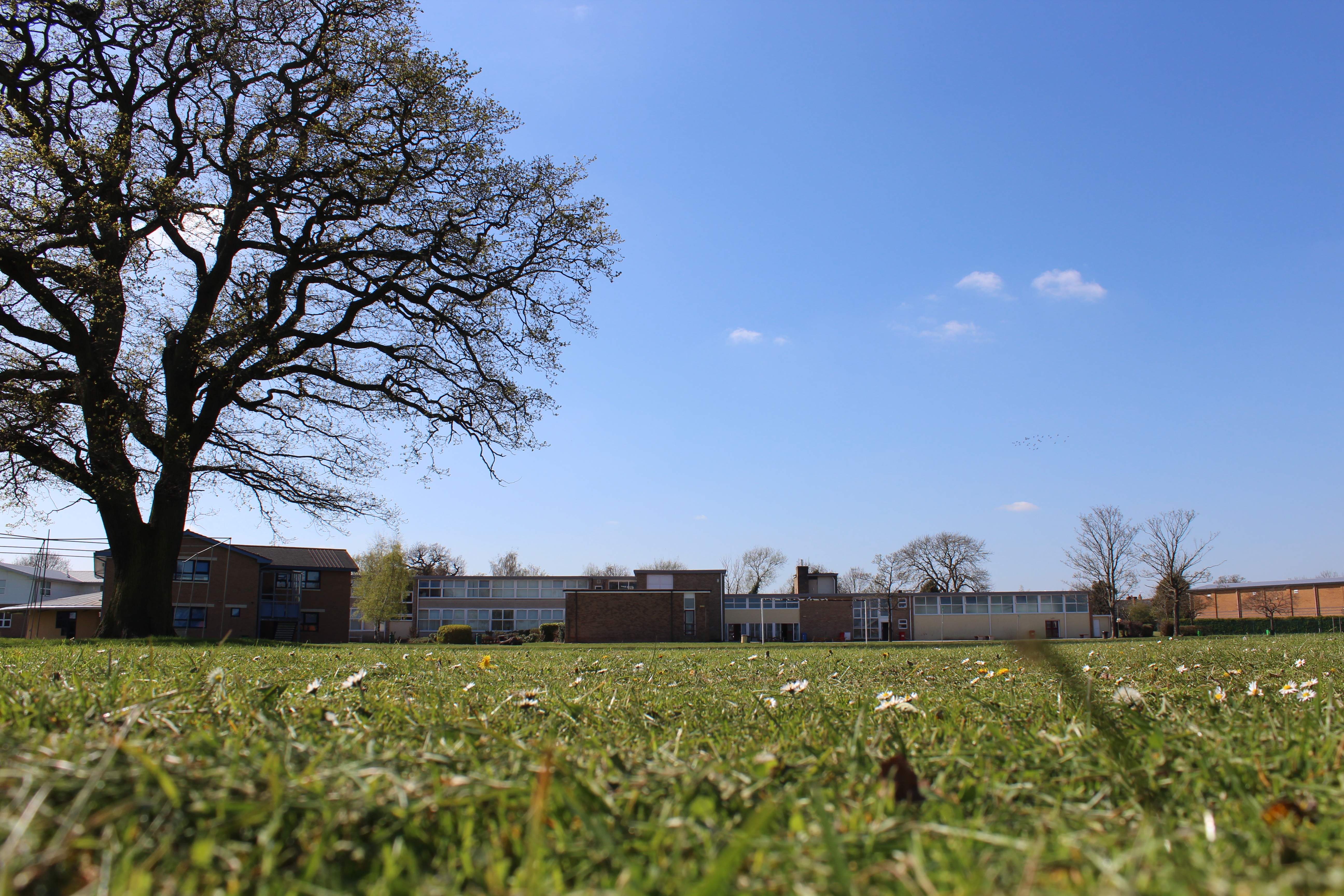 Studley High School 5